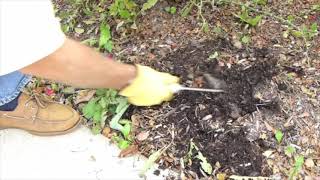DeWit Cape Cod Weeders