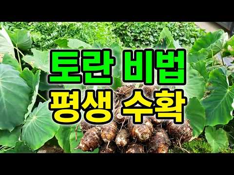 유튜브 미리보기