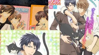I watched the sekai ichi hatsukoi movie : the case of yokozawa