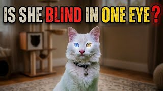 Is She BLIND? 🙀 The Truth About Odd-Eyed Cats! | According To Biology...