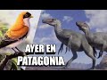 🦖 PATAGONIA, antes del DESASTRE #Megaraptor #Yatenavis 🦜