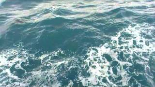 20111015清楚的海豚.mpg