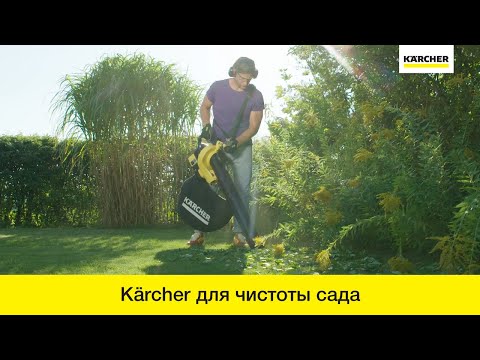 Воздуходувка Karcher BLV 36-240 Batter – универсальное решение для уборки участка