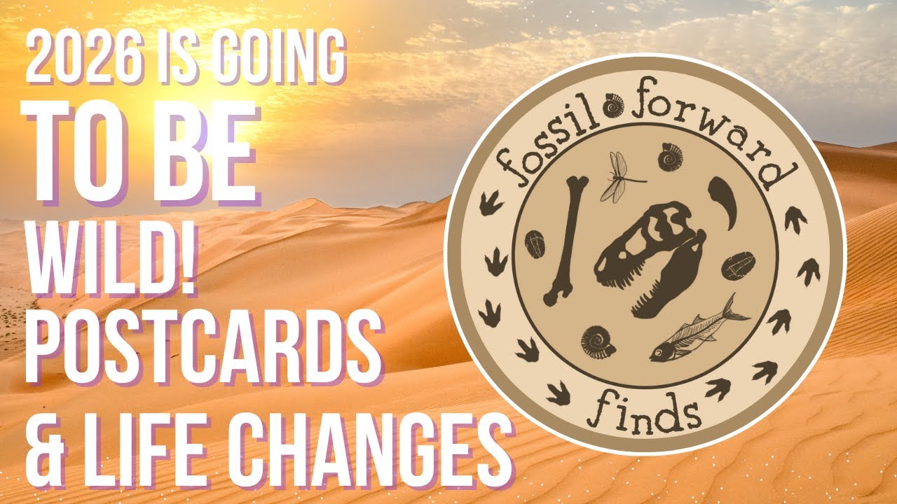 Postcards and Life Changes  - Wild Start to 2026!