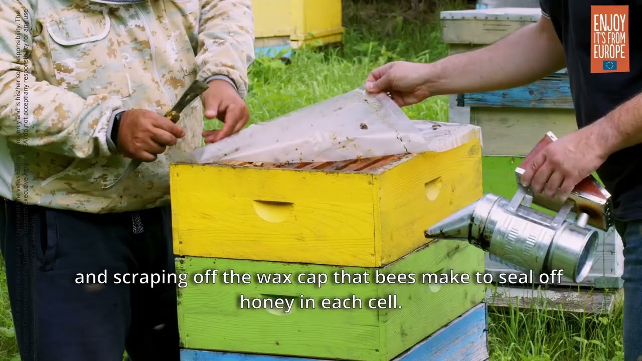 Gold Quality- European Organic honey from Bulgaria