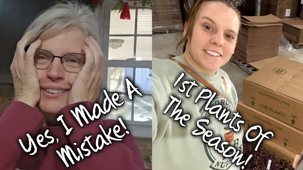 DITL: Да, я совершила ошибку ~ Первые растения сезона ~ Семейный вечер за работой