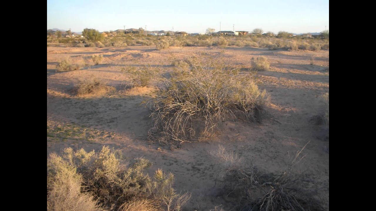 Ready to Build in Buckeye!