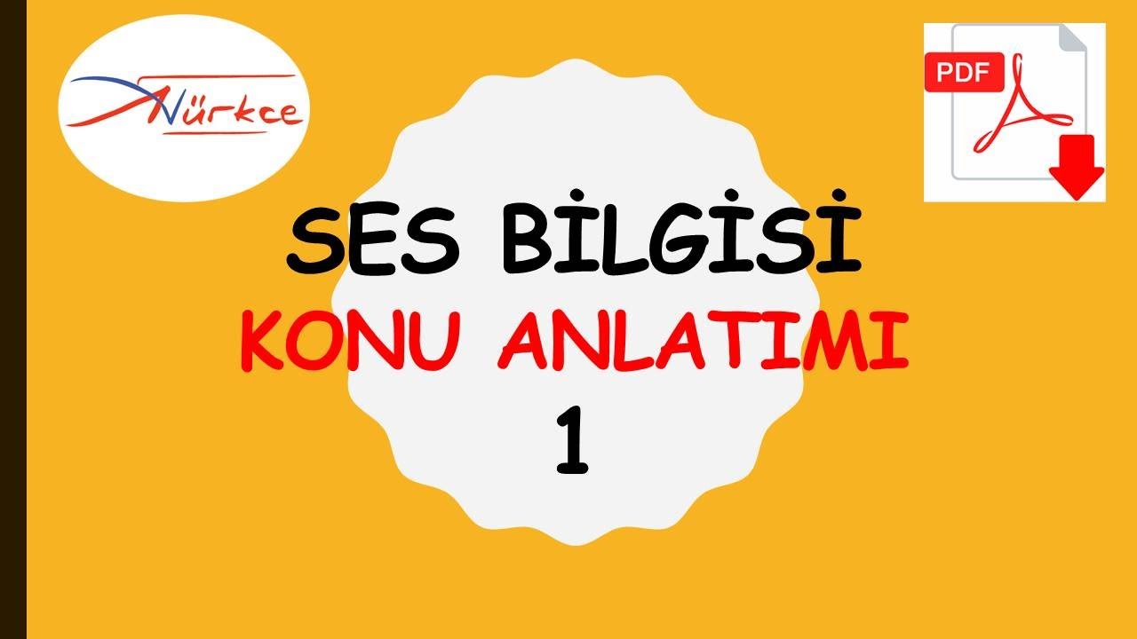 3) SES BİLGİSİ - 1 KONU ANLATIMI / ADEM HOCA