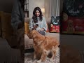 I tried this once… now my dog is obsessed 😭🐶
