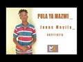 PULA YA MAZWI Jonas Mayila 0621118216 4 1 PULA YA MAZWI Jonas Mayila 0621118216 4 1
