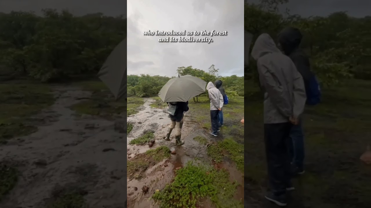 Explore Goa on a Bioluminescent Trail | Nature Trails | Make It Happen Goa | Mrugaya Xpeditions