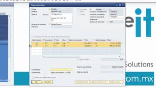 Proceso de Pagos en SAP Business One