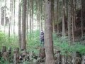 長野県の観光 田舎ジャンキーChapter1