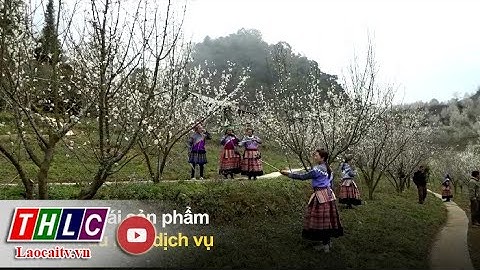 Du lịch sinh thái ở Si Ma Cai - Nỗ lực khai thác tiềm năng | THLC