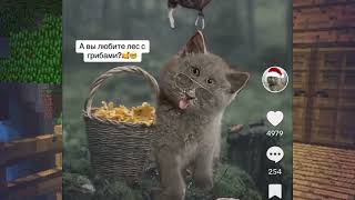:      ,  "E     