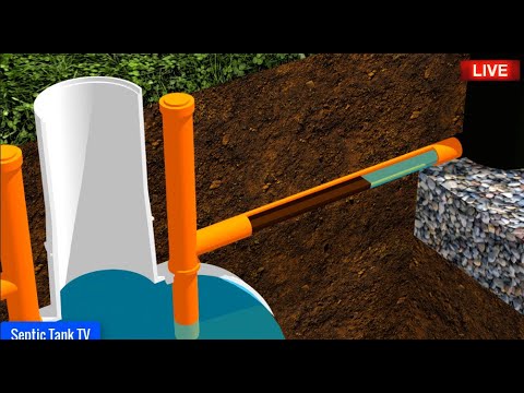Video: Ako zlyhá septický systém?