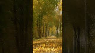 Flauta De Pan Instrumental ~ Candle In The Wind  Library Music #shorts