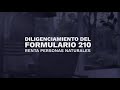 Diligenciamiento del Formulario 210 Renta Personas Naturales - DIAN