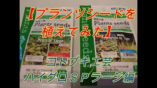 【プランツシードを植えてみた】コトブキ工芸　ハイグロＳＰラージ編