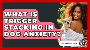 What Is Trigger Stacking In Dog Anxiety? - Obedient Dog Guide