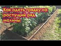 Как одеть грядку на растущий ряд малины