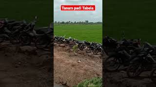 Tabela Inovasi Tanam Padi Petani Lokal Sawah Pasang Surut Sum-Sel