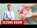 Your Second Brain Is in Your Gut