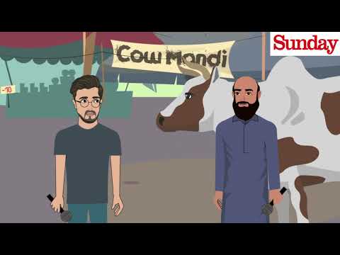 Bakra Eid 2023 | Rap