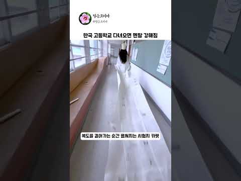 외국인이 진짜 미쳤다고 난리 난 한국 고3의 1년 #한국교육열 #한국학구열 #외국인반응 #해외반응 thumbnail