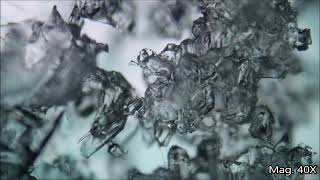 Ice Melting Under the Microscope