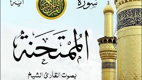سورة الممتحنة - مع إظهار آيات القراءة - تلاوة القارئ الشيخ رعد محمد الكردي . صدى