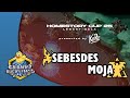 Sebesdes vs Moja - PvT | HomeStory Cup 25: Group Stage - Group B | StarCraft 2 Tournament