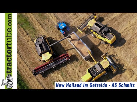 3 New Holland Drescher im Getreide mit LU Schmitz aus Weeze