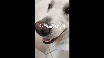 2024 2025 2024 Viralvideo 