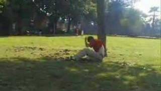 Wallflip Bail