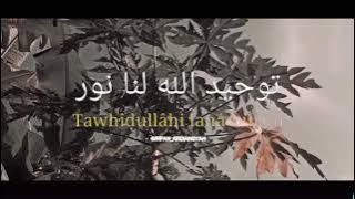 story' WA  addinu Lana aesthetic