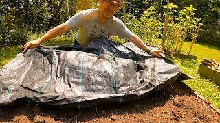 Veg Garden Weeding: Solved.