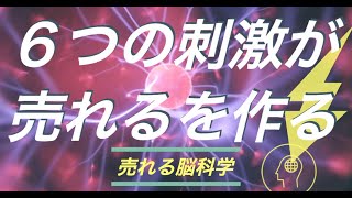 【マーケティング】知らない間に買っている!?「欲しい」が生まれるメカニズム【本紹介/書評】