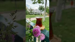 Geleydin Bir Çay Içimi Sen Çay Dökeydin Ben Sana Içimi