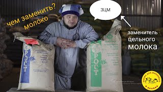 ЗЦМ (Заменитель цельного молока)Пророст