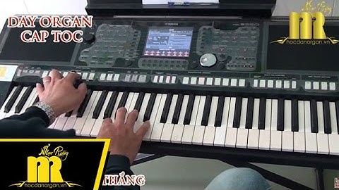 Học Đàn Organ Cấp Tốc TPHCM - ANH CÒN NỢ EM - Trung Tâm Nhạc Rừng