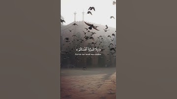 لَا يَسۡخَرۡ قَوۡمٞ مِّن قَوۡم | ما تيسرَ من سورة الحجرات بصوت القارئ احمد خضر | أرح سمعك وقلبك