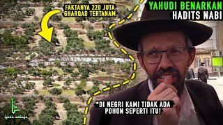 Fakta Terbaru Yahudi Benarkan Hadits Nabi! Hasil Penelitian Mengejutkan dari Pohon Gharqad di Israel