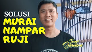 Murai Nampar ❓ by Roni Sarikat #DenidenTanyaJawara