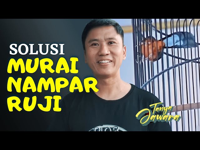 Murai Nampar ❓ by Roni Sarikat #DenidenTanyaJawara class=