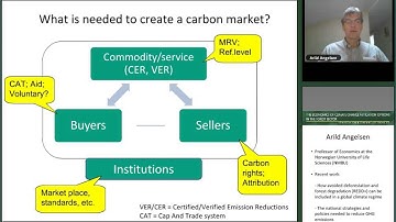 The economics of REDD+