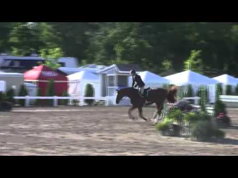 Video of TOUCHDOWN ridden by TERENCE PRUNTY from ShowNet!