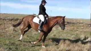 Bud Flatwork