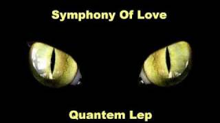 Symphony of love - Quantum Leap (Original Mix)