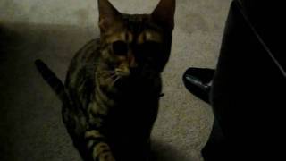 MVI_4228.AVI